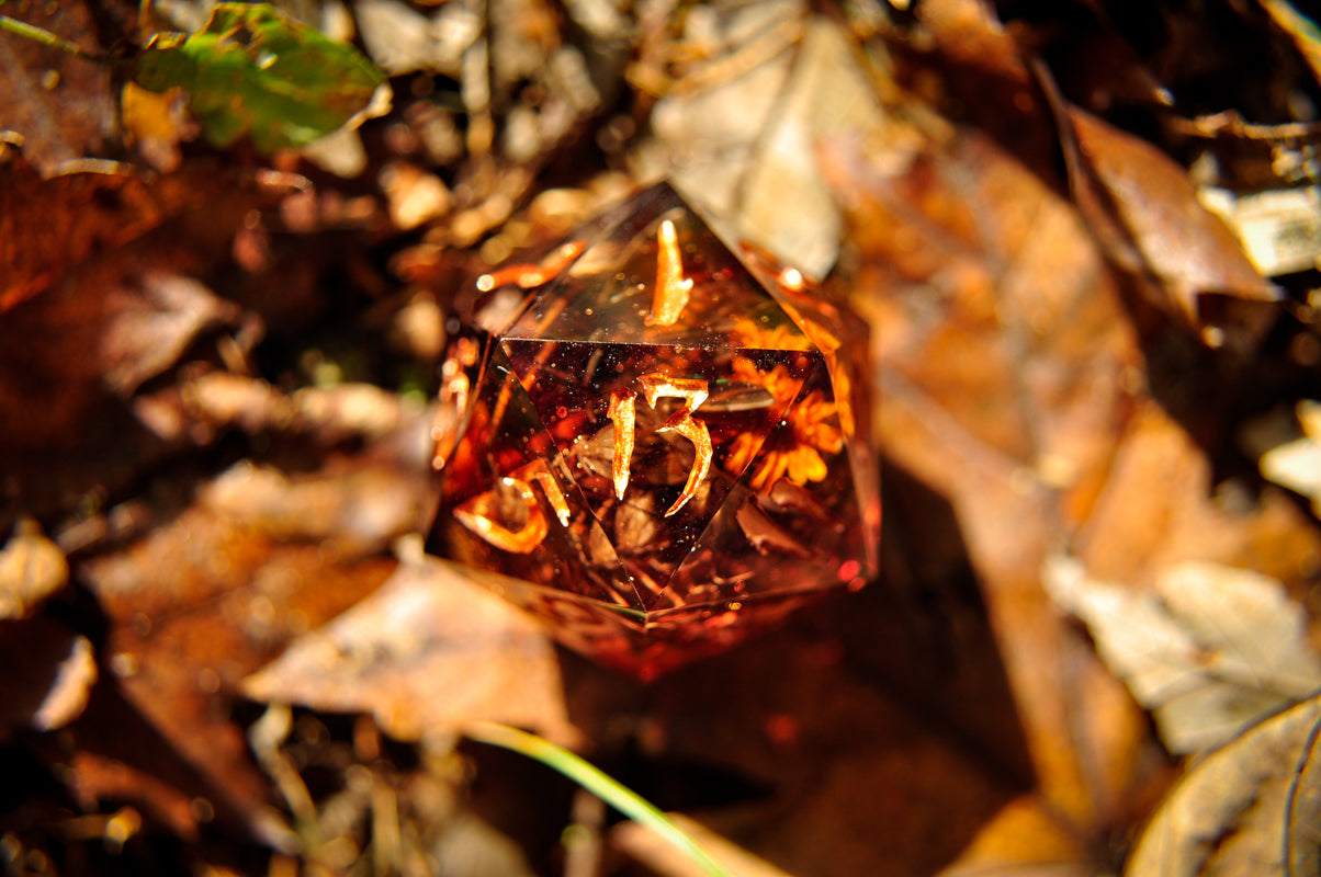 The Amber Hollow Chonk D20