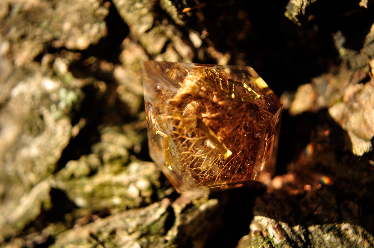 Twilight Spores Single D10