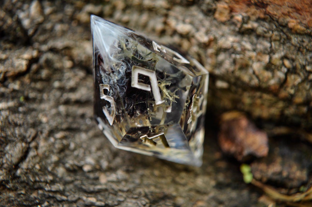 Wither Blight Single d10