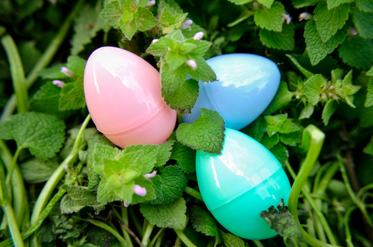 Mystery D20 Easter Egg! #4