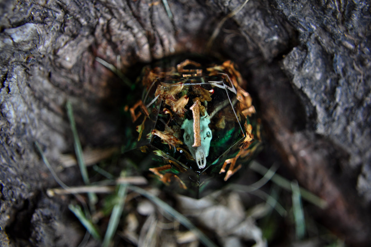 Woodkin D12 - Single