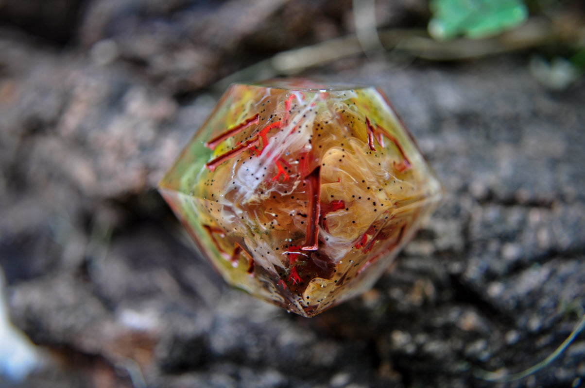 Squelchroot D12 - Single