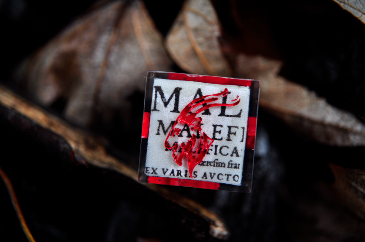 Malleus Maleficarum 4pc D6 set