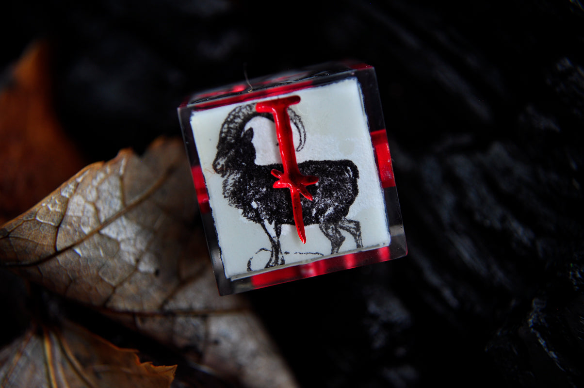 Malleus Maleficarum 4pc D6 set