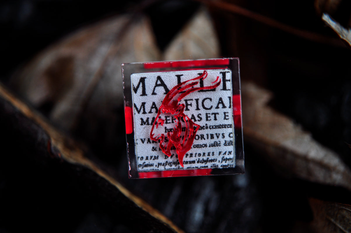 Malleus Maleficarum 4pc D6 set