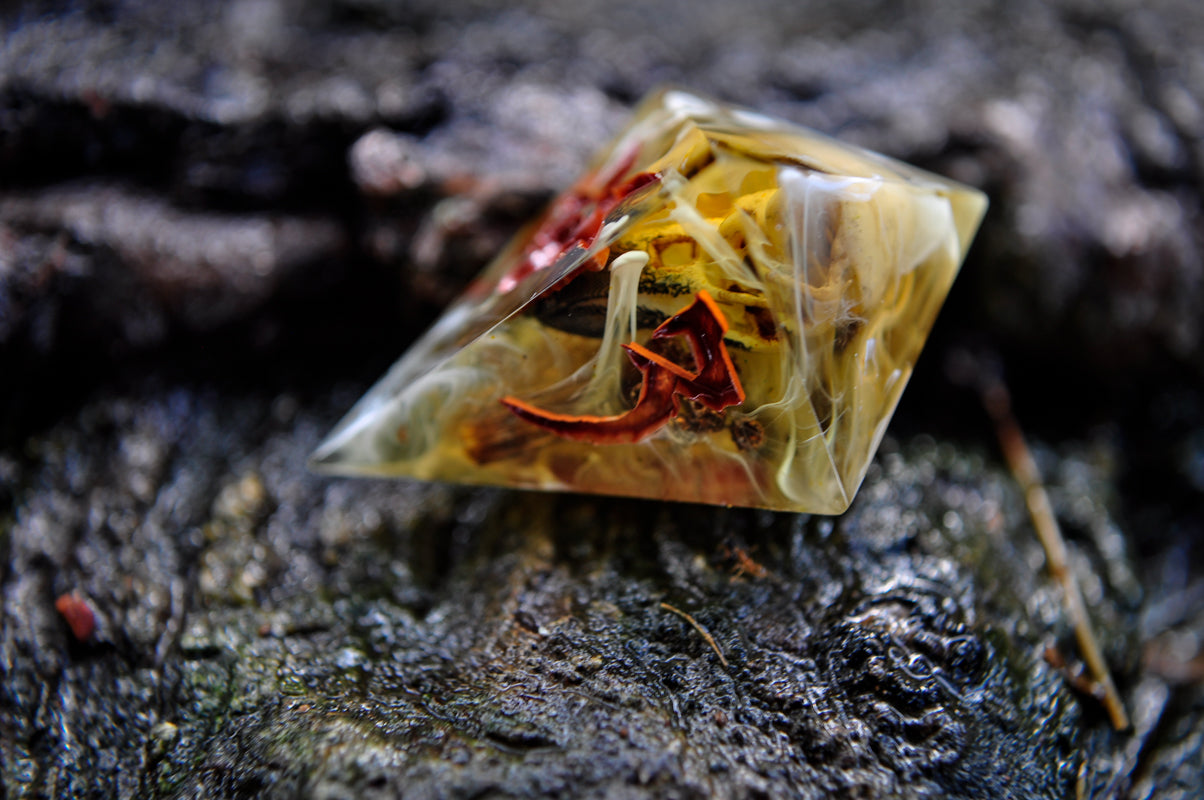 Putrescence 7pc Dice Set