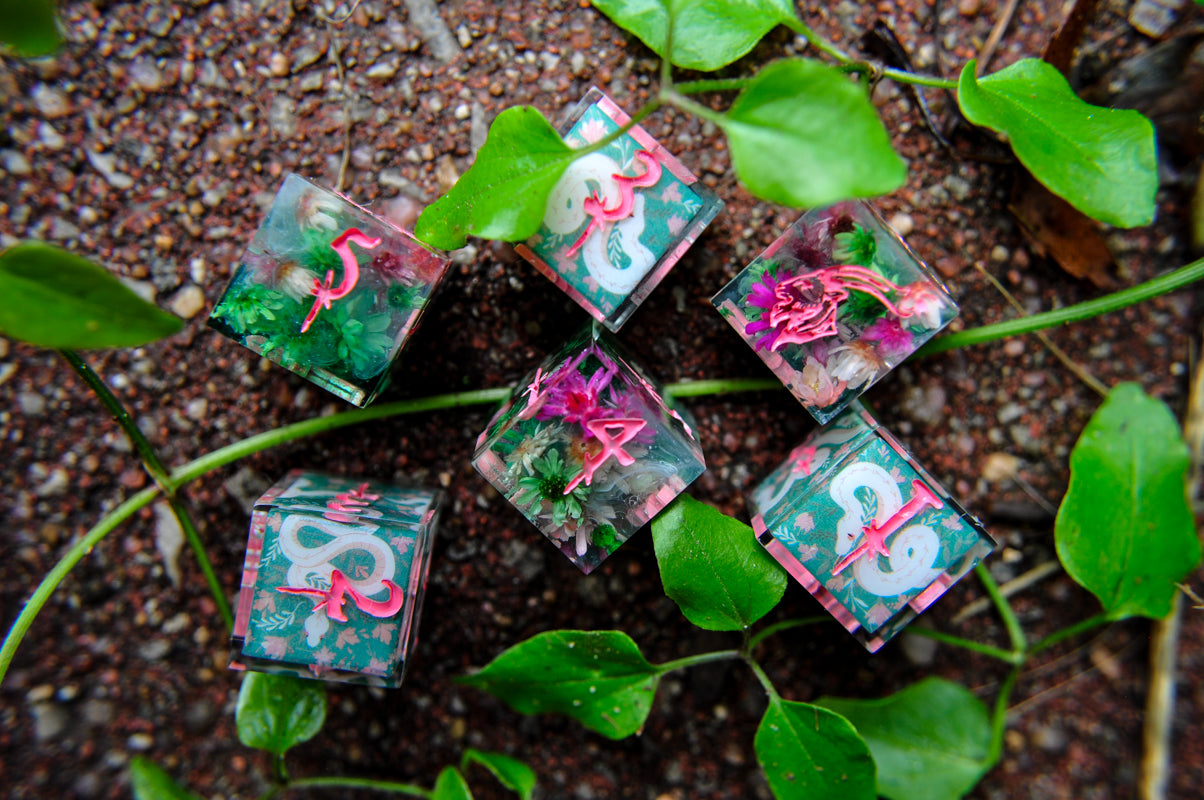 Venom & Bloom 6pc D6 Set