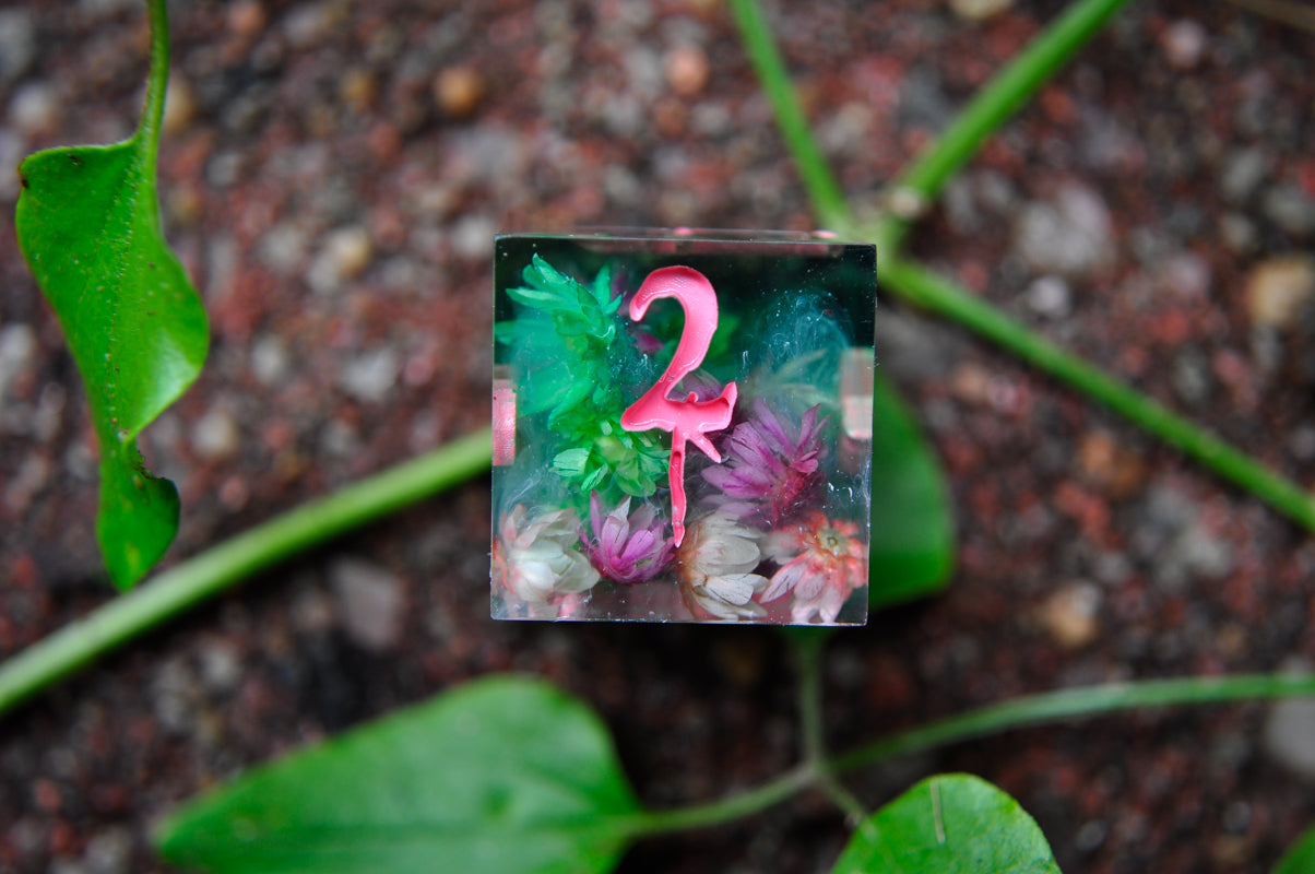 Venom & Bloom 6pc D6 Set
