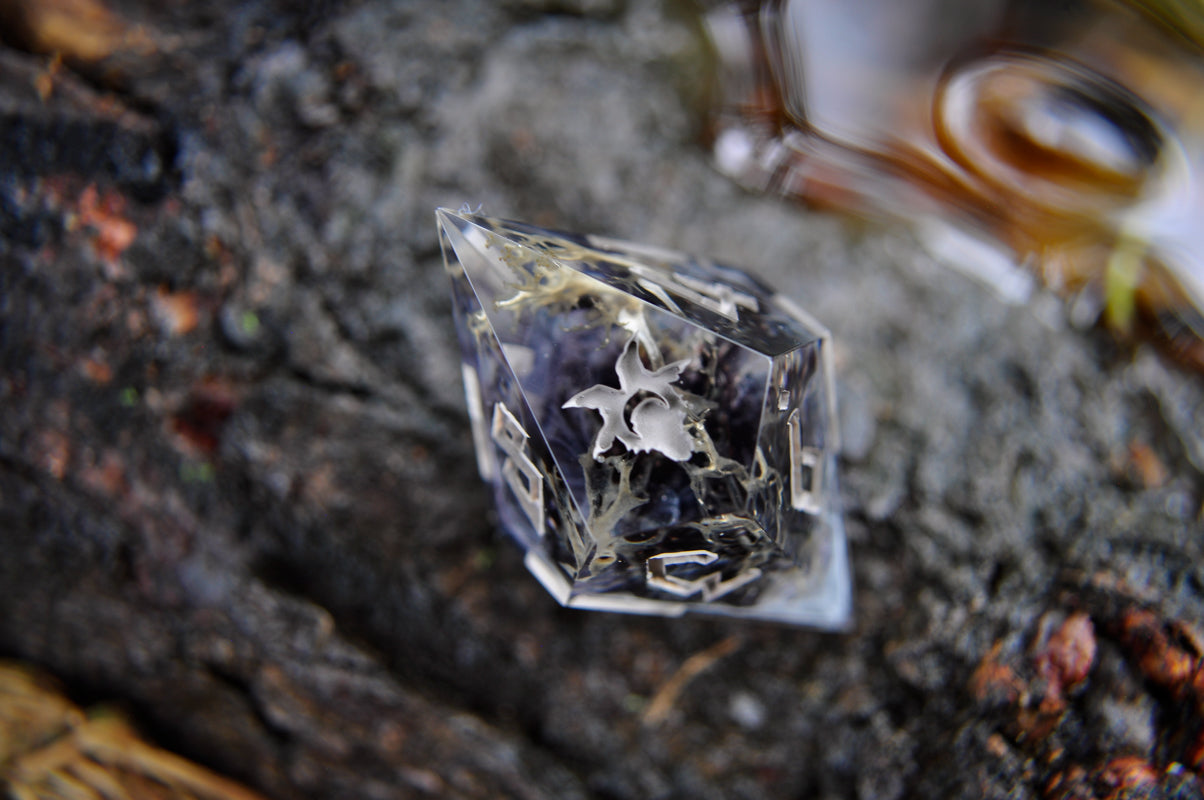Wither Blight Single d10