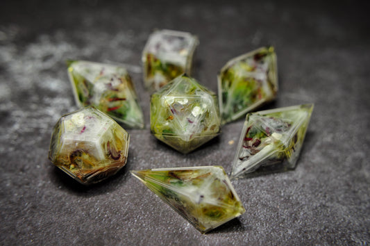 RAW: Swamp Gumbo 7pc