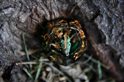 Woodkin D12 - Single