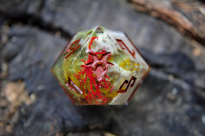 Squelchroot D12 - Single