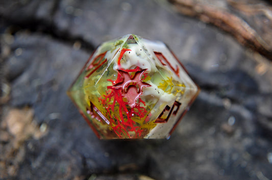 Squelchroot D12 - Single