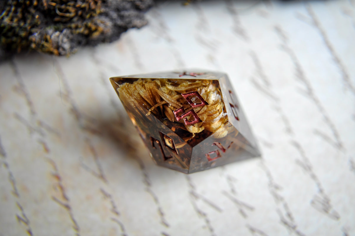 I Am the Moor 7 Piece Set