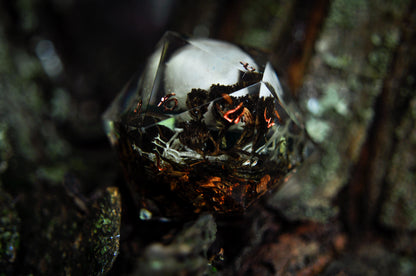 The Gloaming Archive Chonk D20