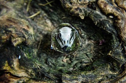 The Raven's Testament Chonk D20