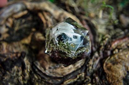 The Raven's Testament Chonk D20