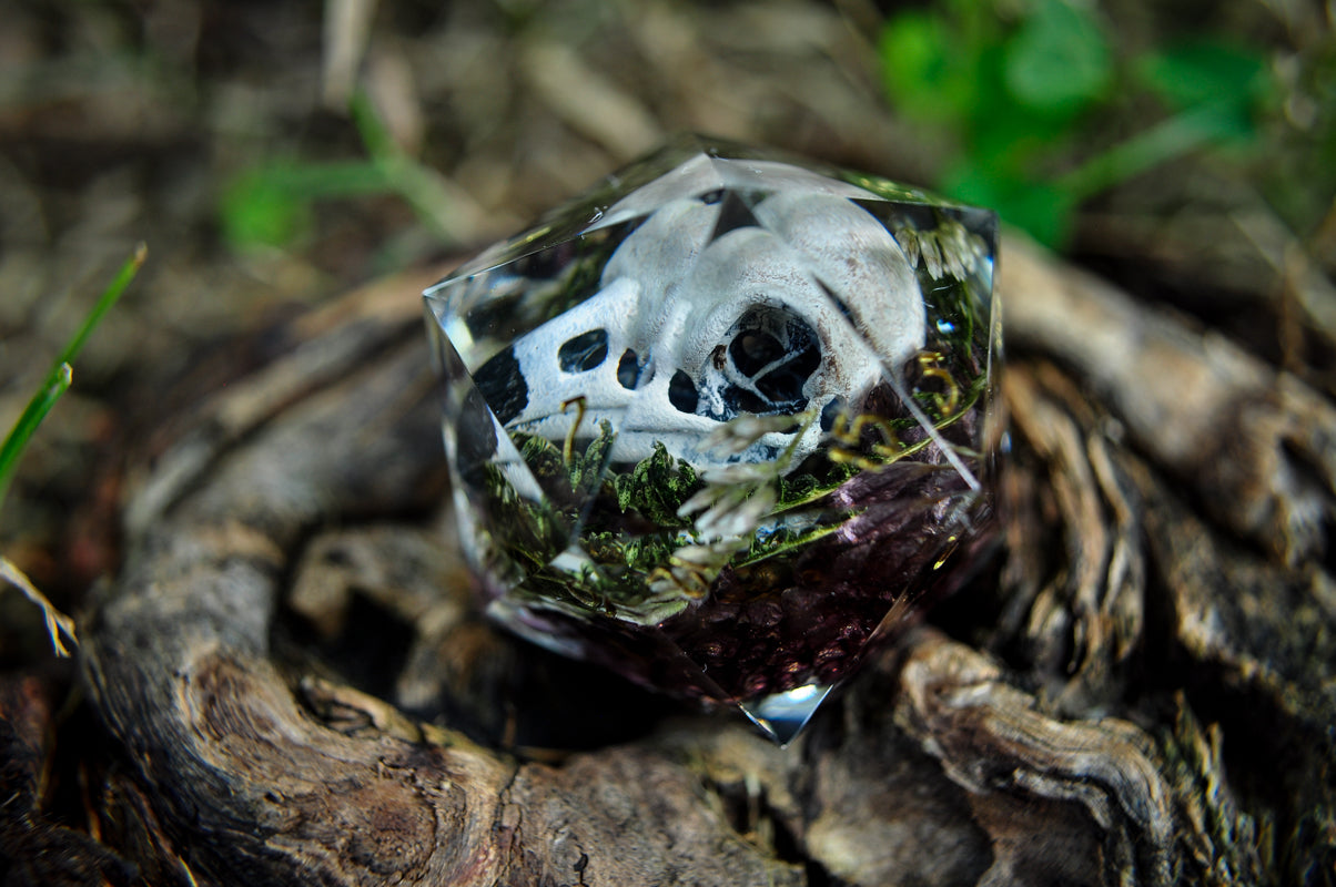 The Raven's Testament Chonk D20
