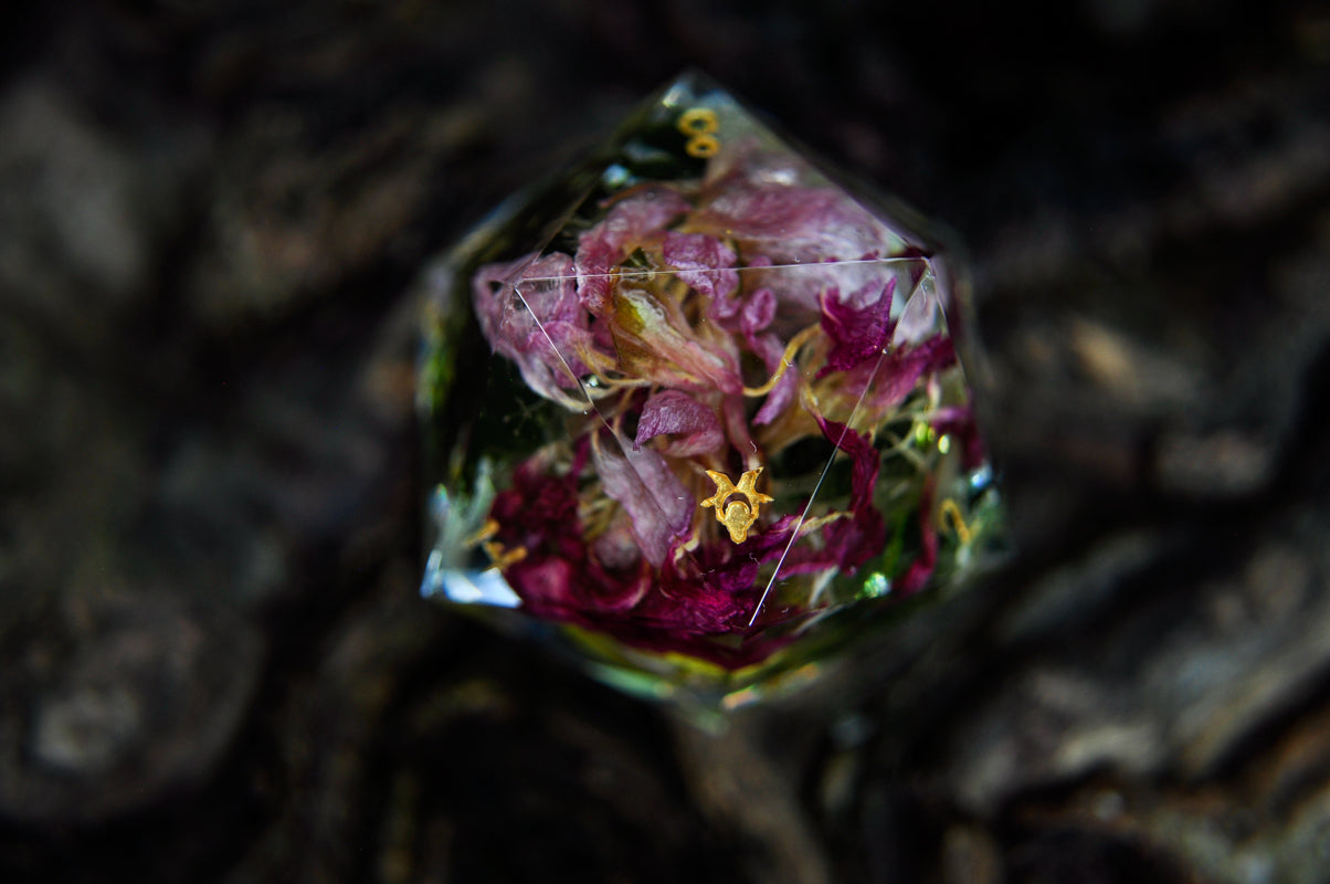 The Curator's Companion Chonk D20