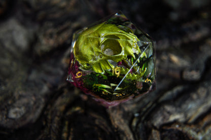 The Curator's Companion Chonk D20