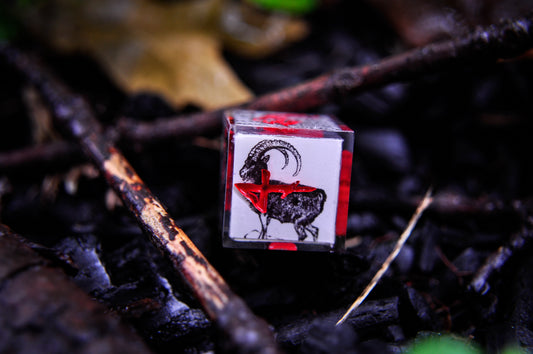 Malleus Maleficarum 4pc D6 set