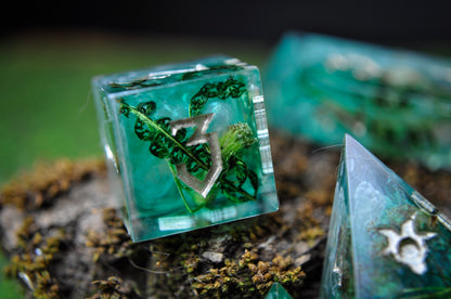 The Willow Maid 7 Piece Set