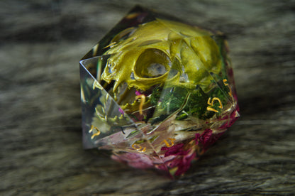 The Curator's Companion Chonk D20