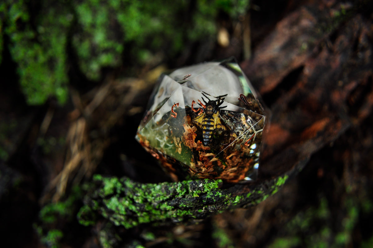 The Gloaming Archive Chonk D20