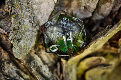 Dragon Egg Nest Chonk D20