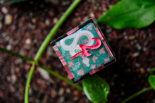Venom & Bloom 6pc D6 Set