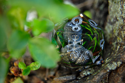 Dragon Egg Nest Chonk D20