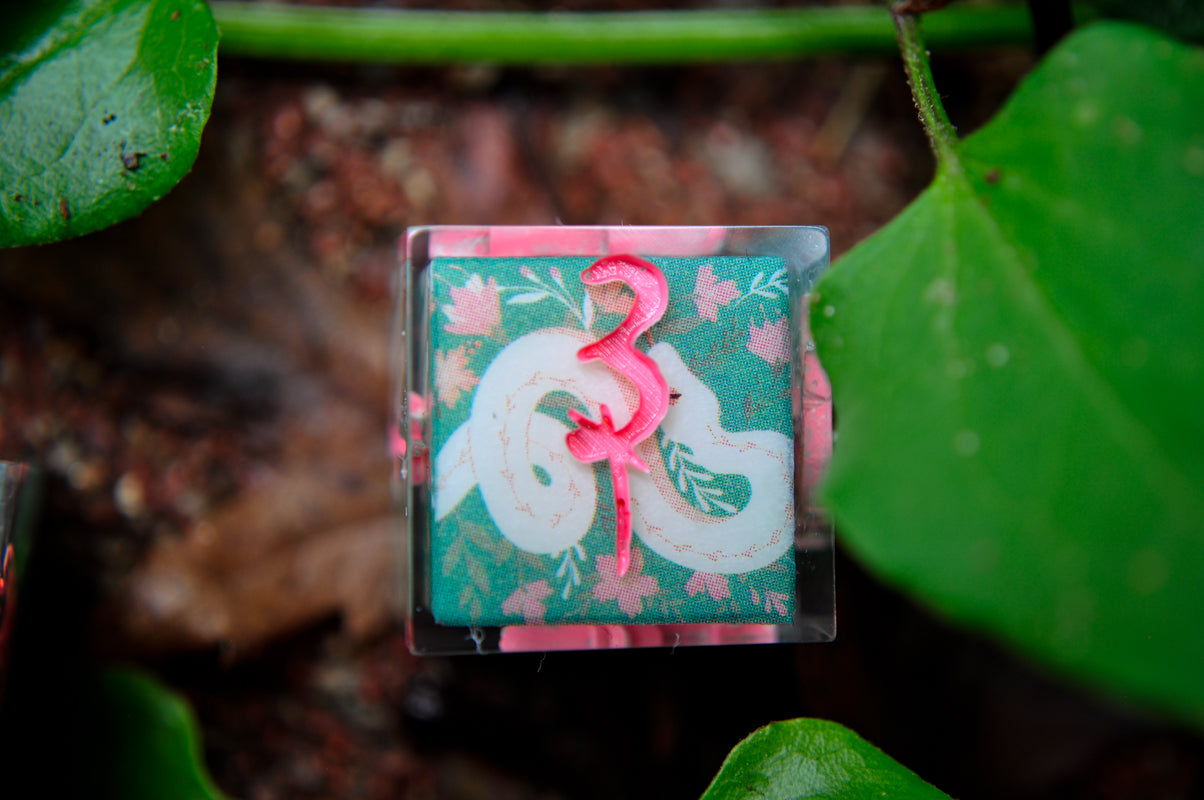Venom & Bloom 6pc D6 Set