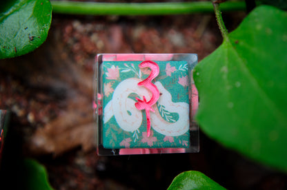 Venom & Bloom 6pc D6 Set