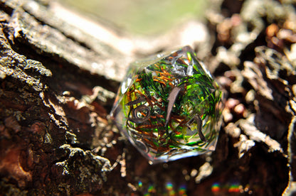 Dragon Egg Nest Chonk D20